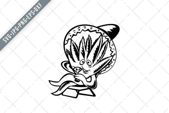 Agave Plant Wearing Sombrero: A Playful Twist with Real-World Charm