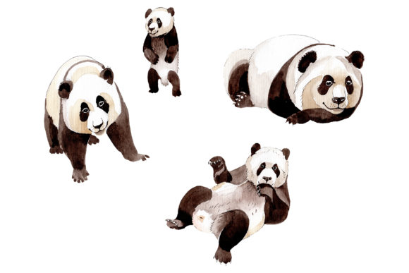 Animal Panda Watercolor: Strategic Visual Communication for Discerning Professionals