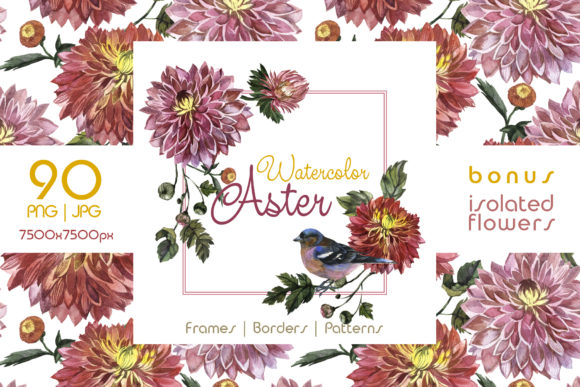 Choosing the Charming Asters Watercolor Set: A Practical Evaluation for Nature-Inspired Artists