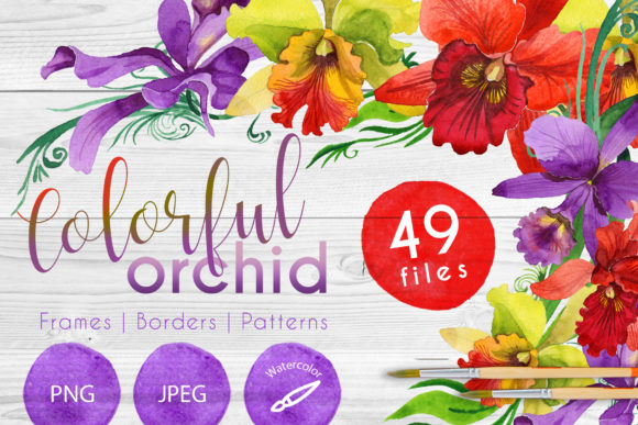 Colorful Orchid Watercolor Set in Modern Design