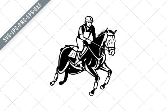 Equestrian Riding Horse Show Jumping