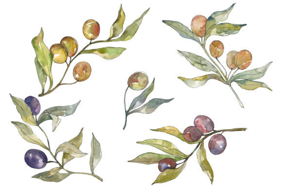 Evaluating Olives Watercolor as a Subject for Your Next Painting Project