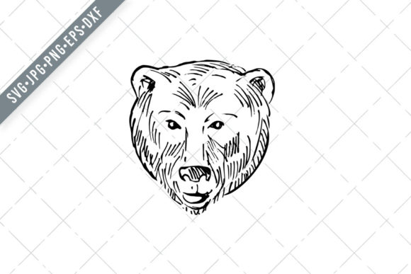 Head of a Brown Bear Ursus Arctos Explained