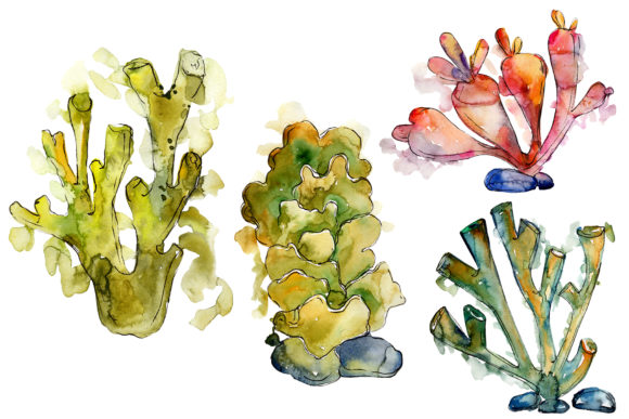 How Corals Seafood Watercolor Is Redefining Visual Storytelling in the Culinary and Creative Industries