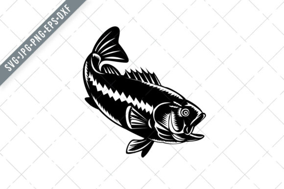 Largemouth Bass Diving Down: What It Signals and Why It Matters