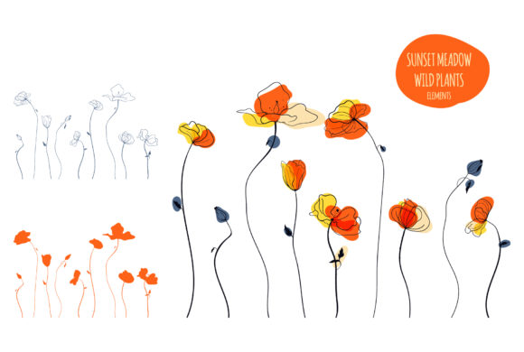 Sunset Meadow Wild Plants: A Practical Resource for Professionals and Creators