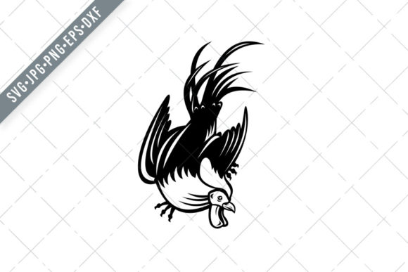 The Junglefowl Cockerel: A Living Archive of Avian Evolution, Behavior, and Human Connection