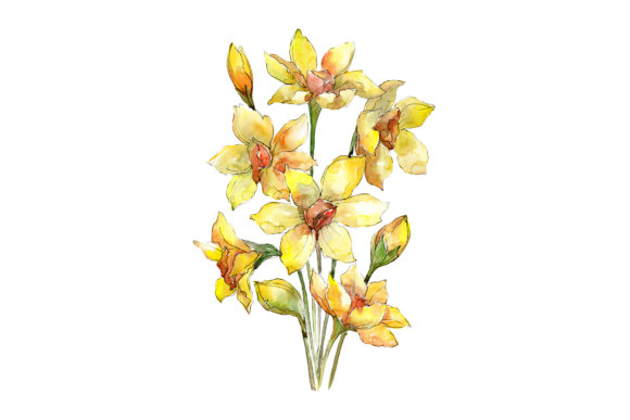 The Quiet Power of a Bouquet of Narcissus Yellow Flower Watercolor in Modern Visual Culture