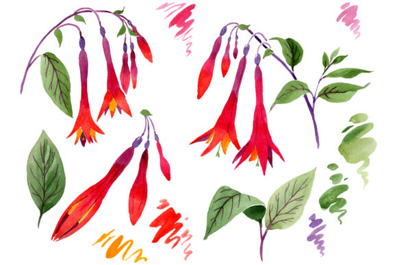 The Unmistakable Energy of Orange-Red Fuchsia Watercolor