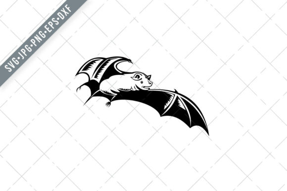 What the Megabat Old World Fruit Bat Can Teach You About Creative Work, Connection, and Quiet Impact